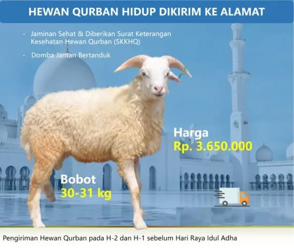 Kurban - Qurban Domba  serdang